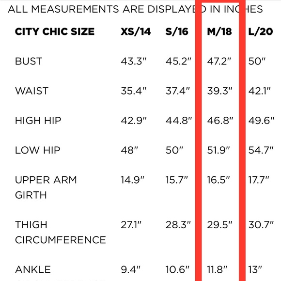 Maxi Tulle Plus Formal Dress NWT. Size 18(M) - Picture 8 of 9